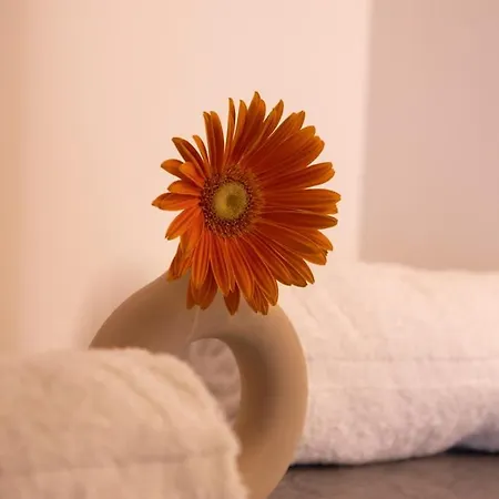 Lieblingsquartier - 2 상트안드레스베르크