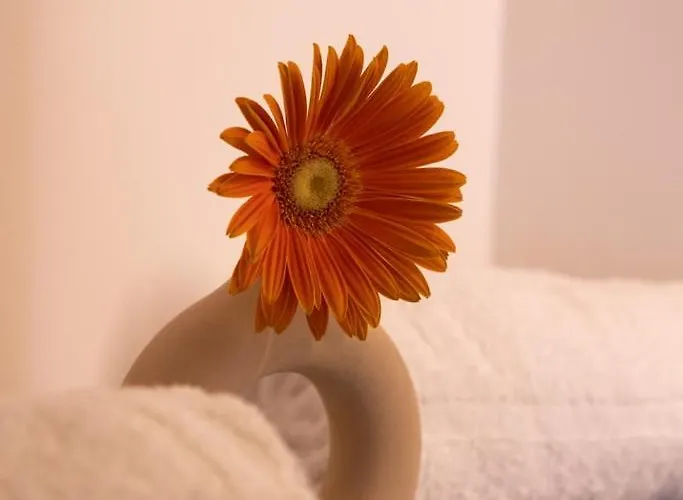 Lieblingsquartier - 2 圣安德里斯伯格