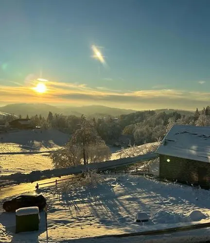 Lieblingsquartier - 2 公寓 *