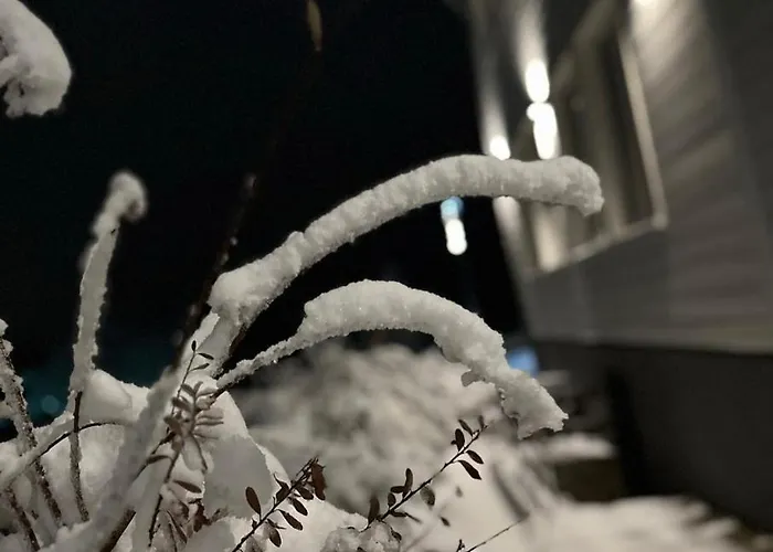 公寓 Lieblingsquartier - 2 *